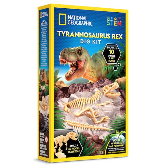 Excavation de T-Rex H0 NOCH 58614 modèle fini peint à la main Excavation de T-Rex H0 NOCH 58614 modèle fini peint à la main